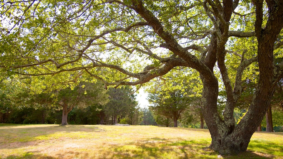 Fort Wetherill State Park which includes a garden
