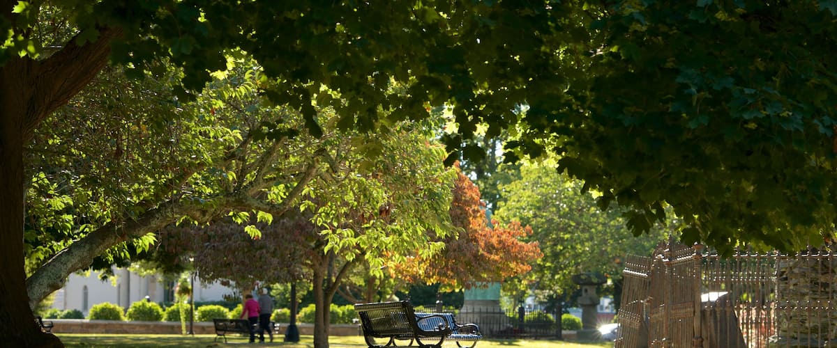 Touro Park featuring a park