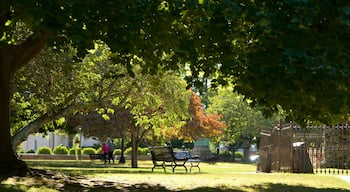 Touro Park featuring a garden