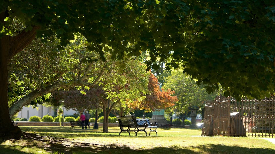 Parque Touro ofreciendo un jardín