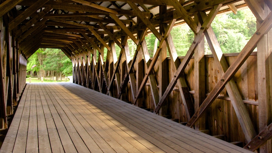 Maine que inclui uma ponte