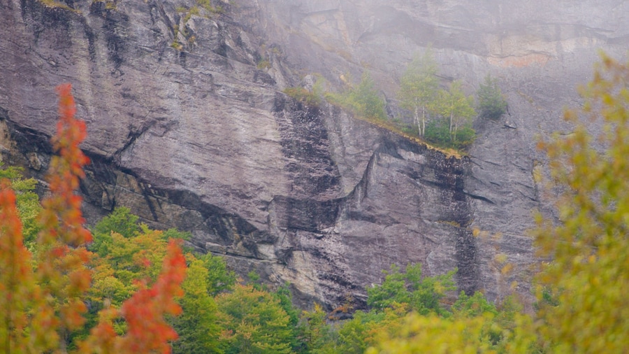Maine