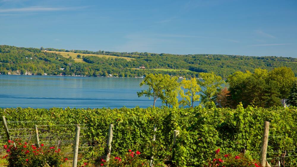 Seneca Falls showing a lake or waterhole