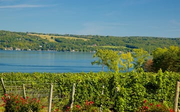 Interlaken Vacation Rentals, New York: house rentals more Vrbo