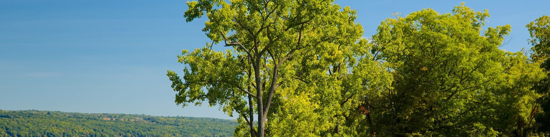 Seneca Falls featuring a coastal town and a lake or waterhole