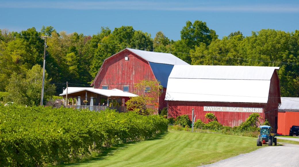 Seneca Falls showing farmland