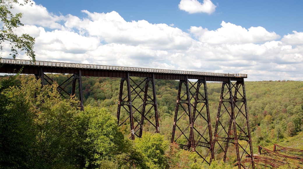 Kinzua Bridge State Park showing tranquil scenes and views