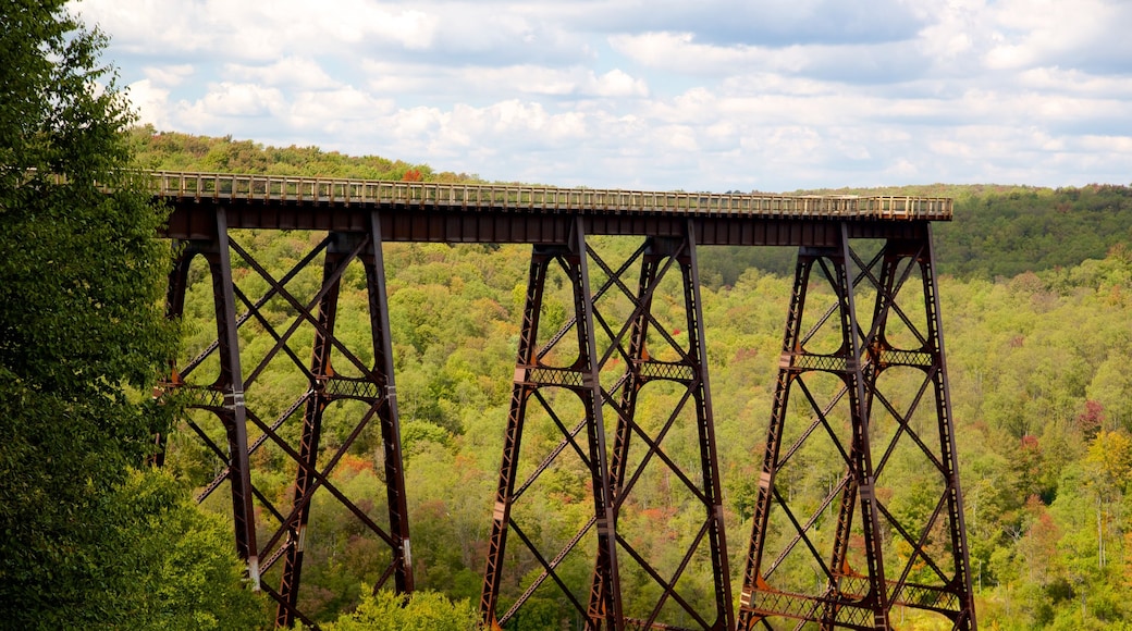 Kinzua Bridge State Park featuring tranquil scenes and views