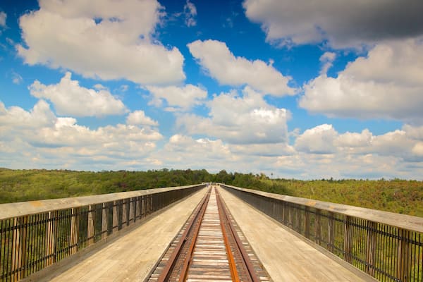 Northwest Pennsylvania featuring a bridge, forest scenes and skyline