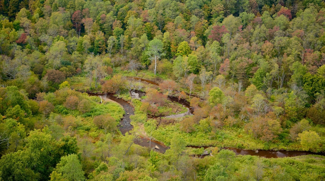 Northwest Pennsylvania which includes a river or creek and forests