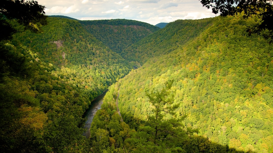 Erie featuring a gorge or canyon and forests