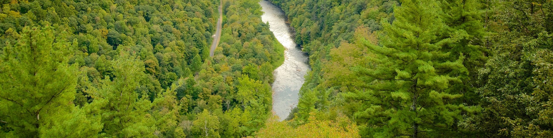 Erie showing a gorge or canyon and forest scenes