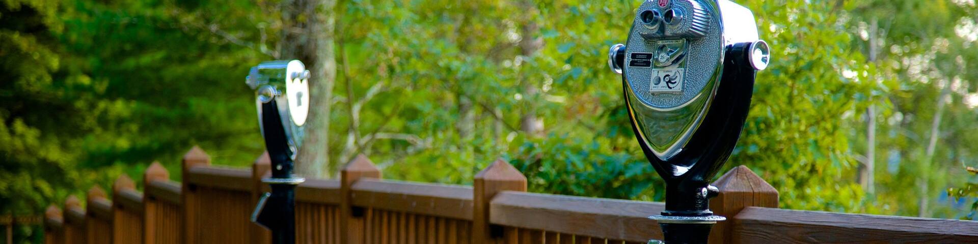 Erie featuring views