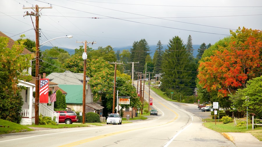 Southwest Pennsylvania showing a small town or village and fall colors
