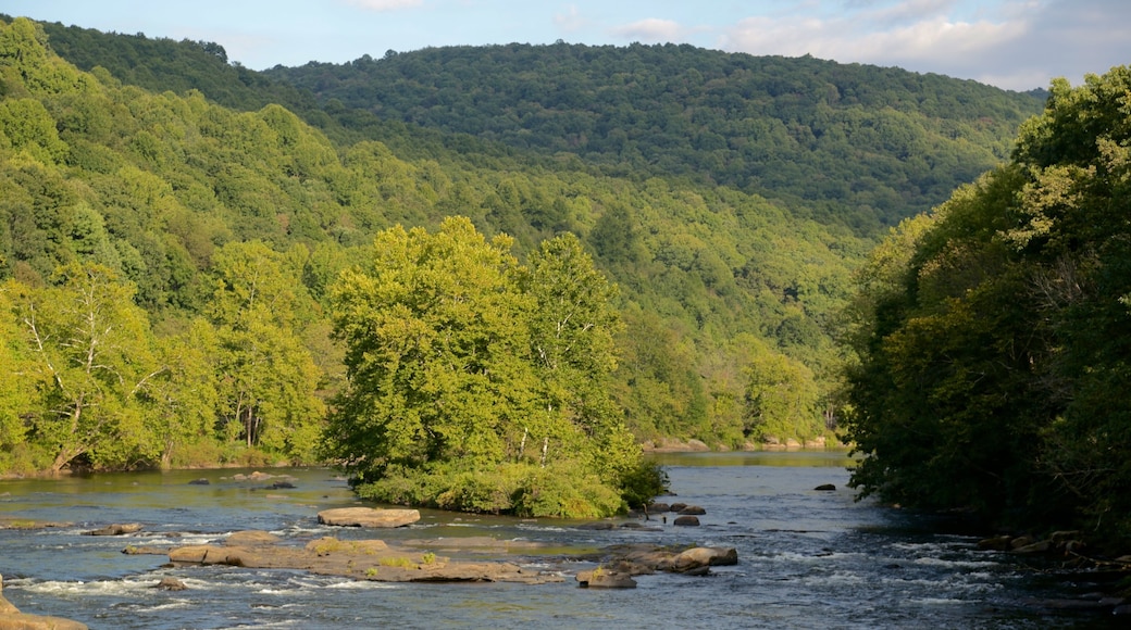 Uniontown showing forests, a park and a river or creek