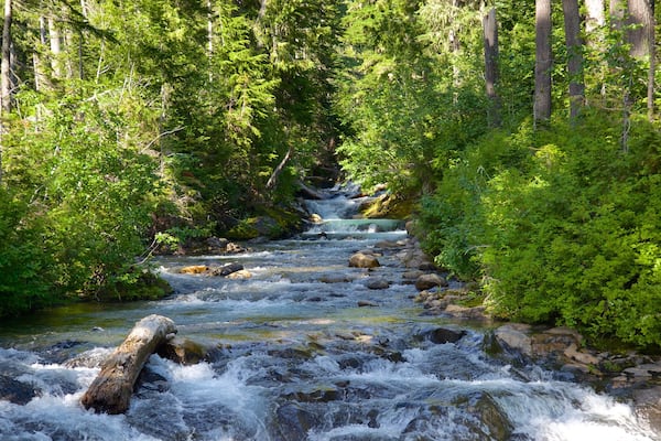 Ashford das einen Fluss oder Bach