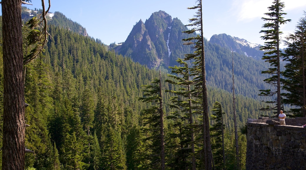 Ashford mostrando foresta e vista del paesaggio