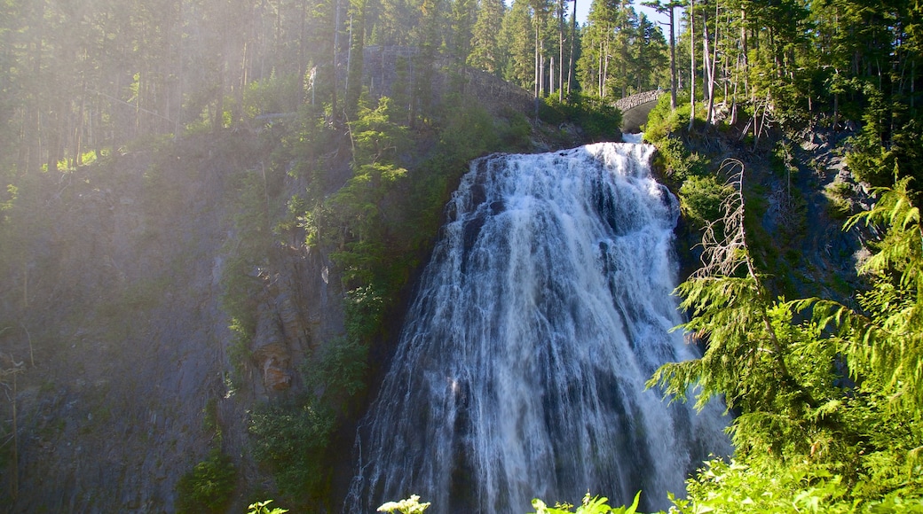 Ashford mostrando una cascada