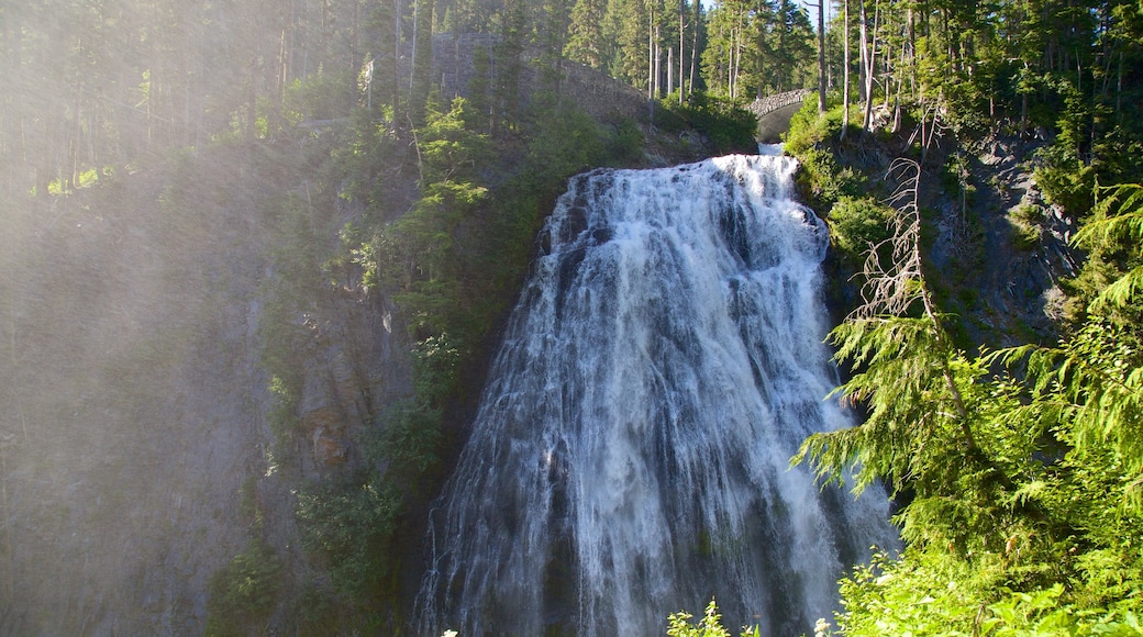 Ashford que incluye una catarata