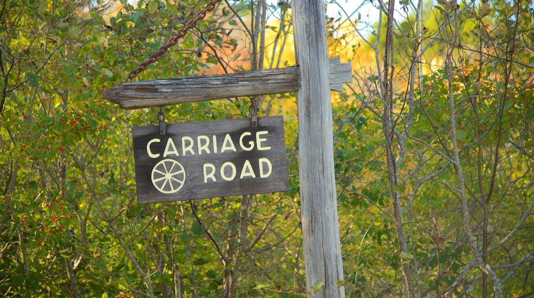 Bar Harbor featuring signage