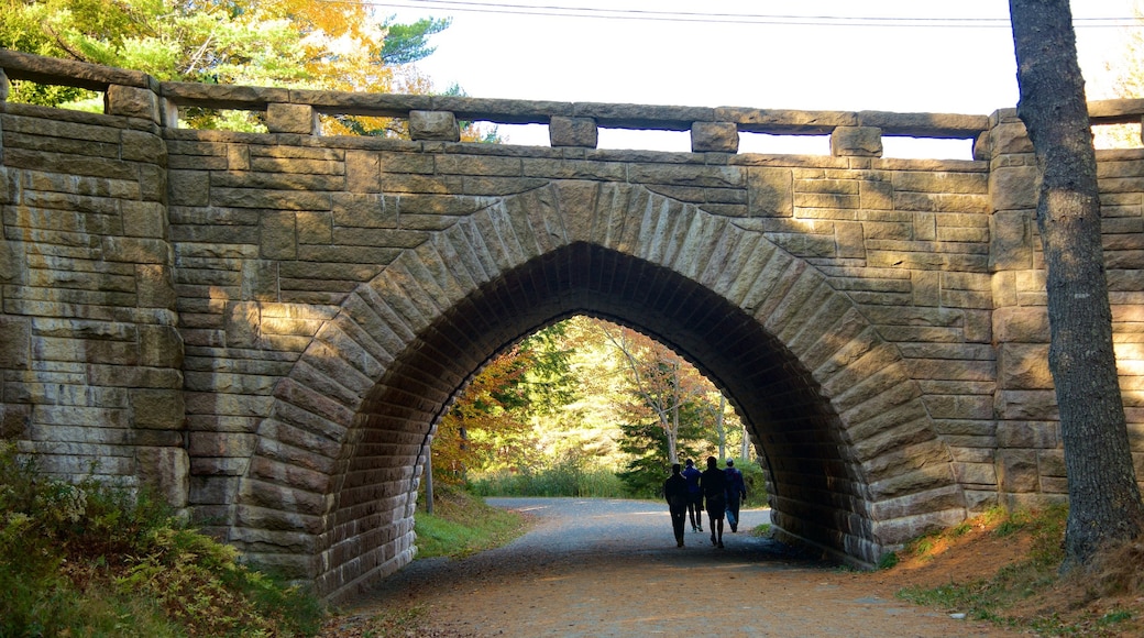 Bar Harbor showing heritage architecture and heritage elements