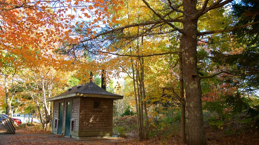 Bar Harbor toont herfstkleuren