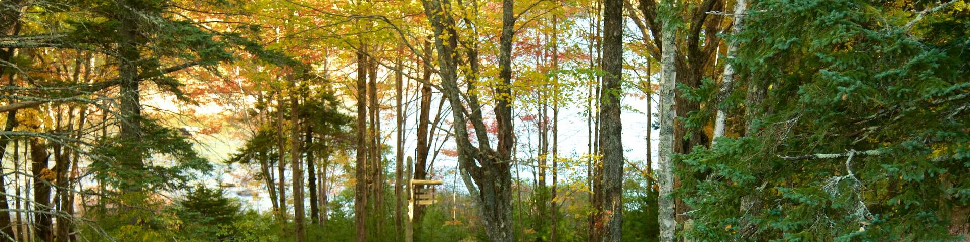 Bar Harbor which includes heritage elements as well as a couple