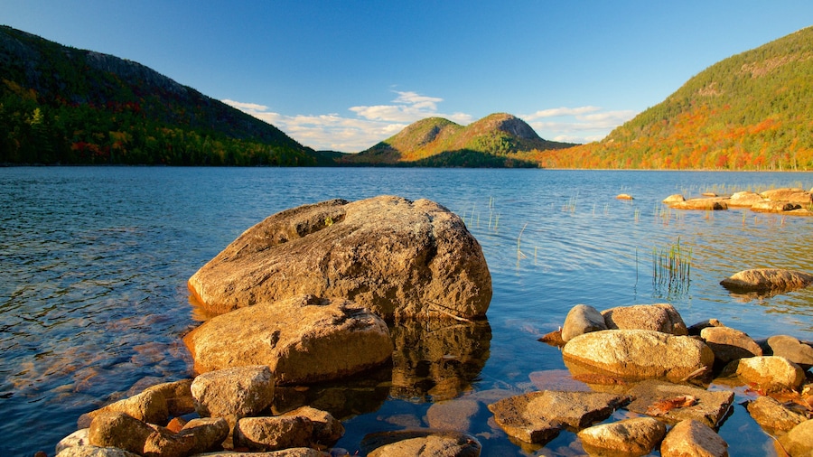 Bar Harbor toont landschappen en een vijver
