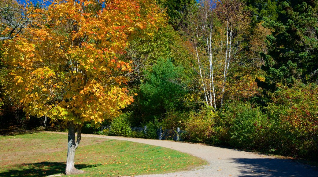 Bar Harbor caratteristiche di parco