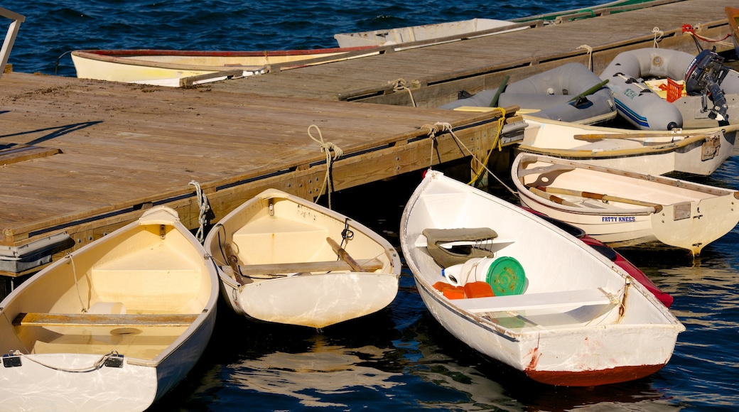 Bar Harbor showing boating and general coastal views