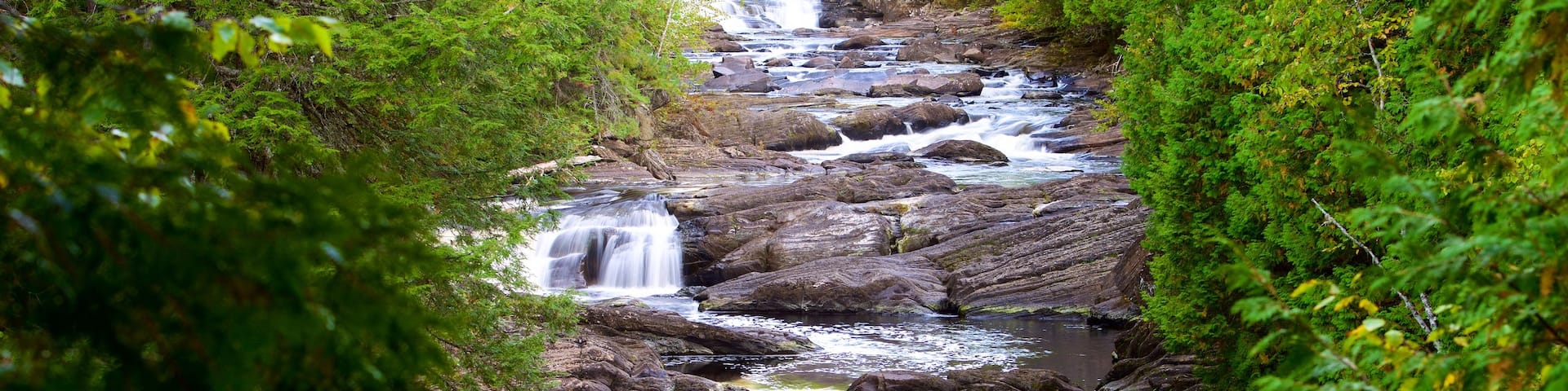 The Forks which includes rainforest and rapids