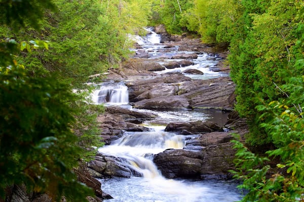 The Forks which includes rapids and rainforest