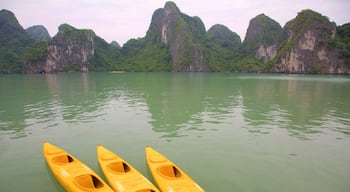 Baie d\'Halong montrant montagnes et baie ou port