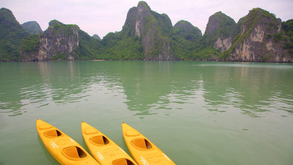 Bahía de Ha Long ofreciendo una bahía o puerto y montañas