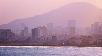 Núi Sơn Trà có tính năng sương mù và thị trấn duyên hải