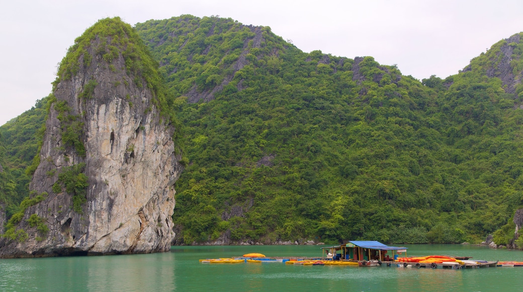 Halong Bay som visar kajak eller kanot och öfoton