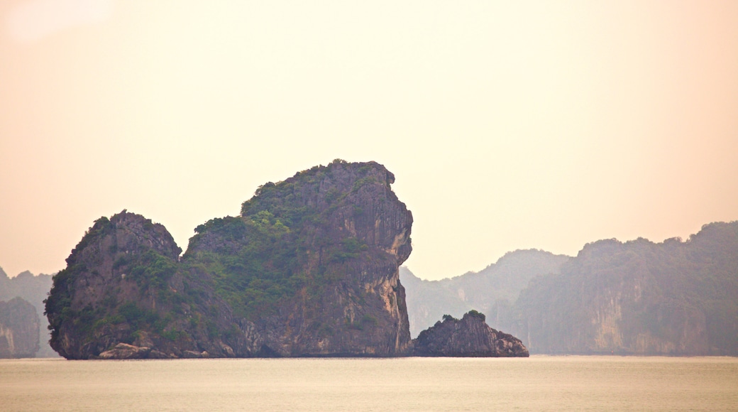 Baia di Halong mostrando vista dell\'isola