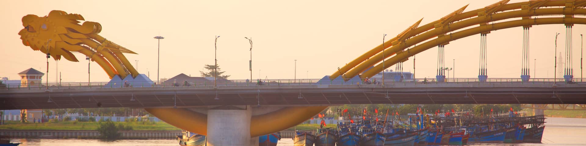 Da Nang featuring a bridge and modern architecture
