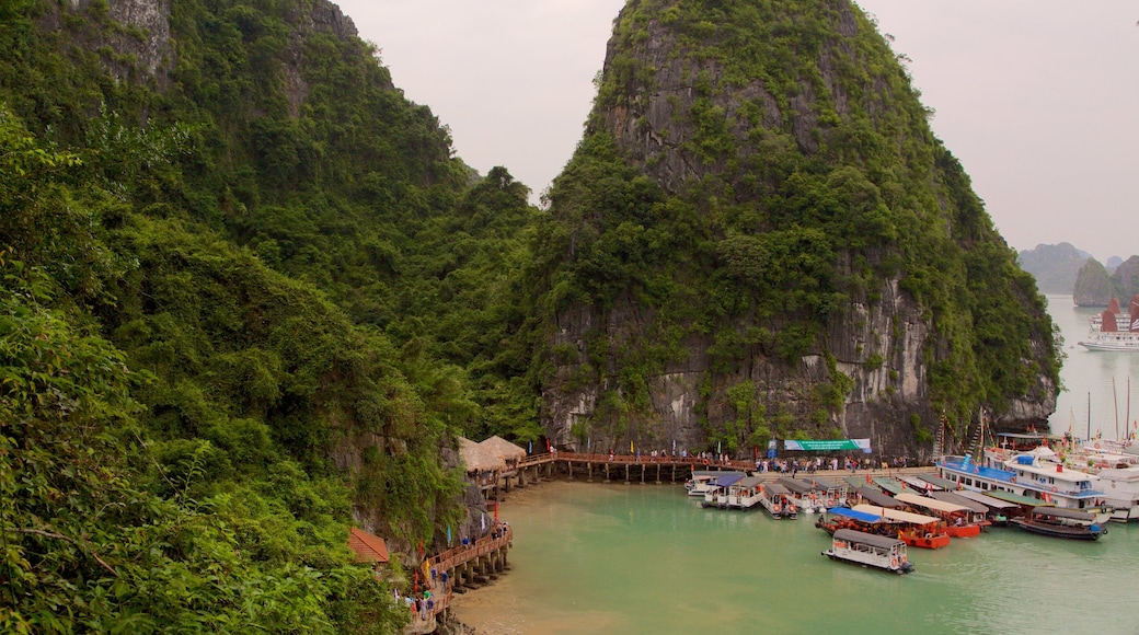 Halong Bay featuring tropical scenes, boating and island views