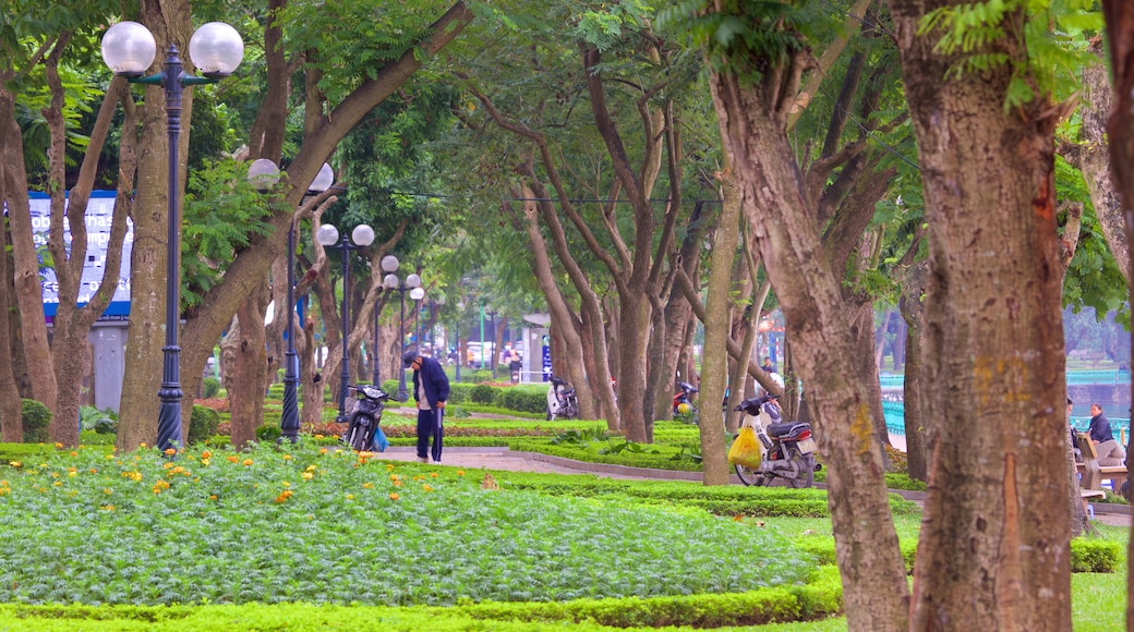 Tay Ho featuring a garden