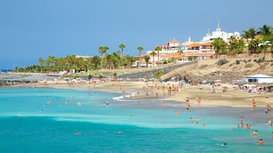 Del Duque Beach featuring swimming, general coastal views and a beach