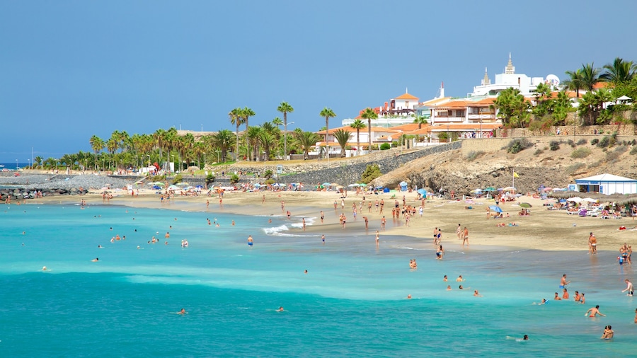 Playa del Duque, Adeje, Spanien som omfatter svømning, udsigt over kystområde og en sandstrand