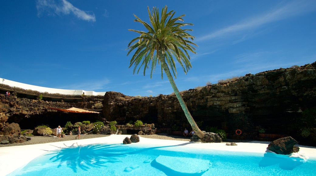 Jameos del Agua que incluye escenas tropicales y una alberca