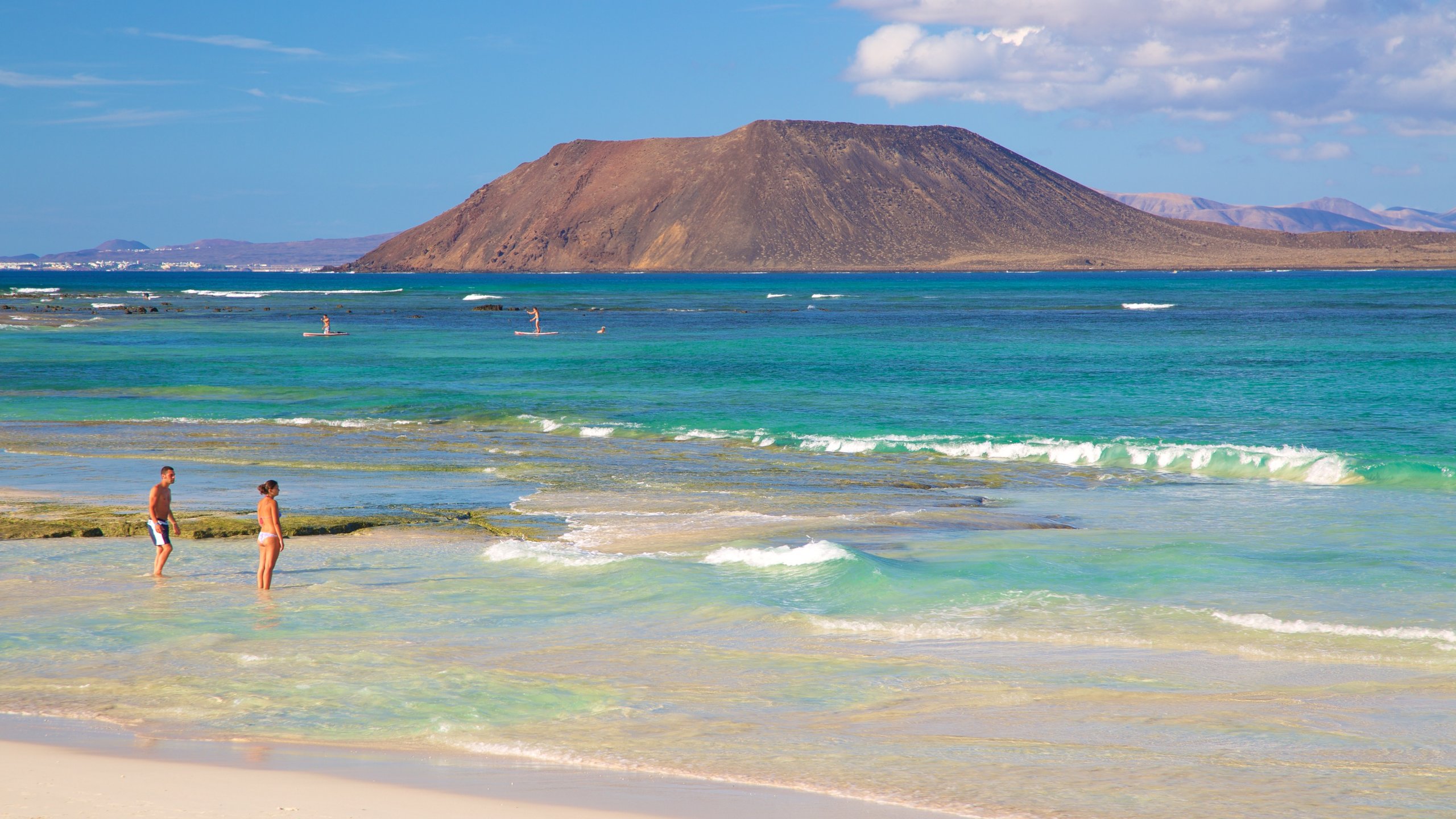 Corralejo Strand som viser bjerge, udsigt over kystområde og svømning