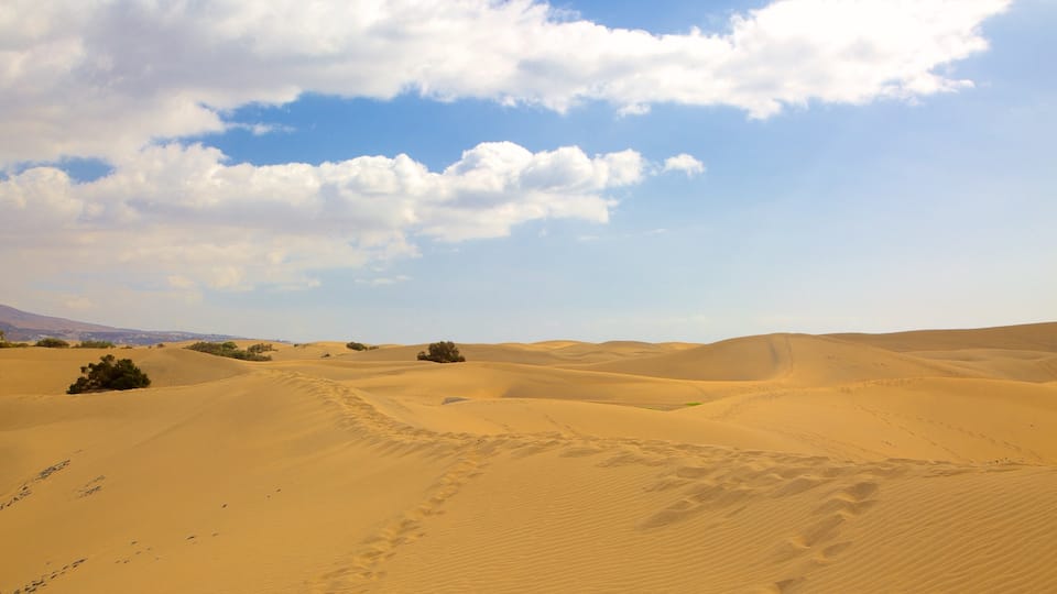 Maspalomas Dunes which includes desert views