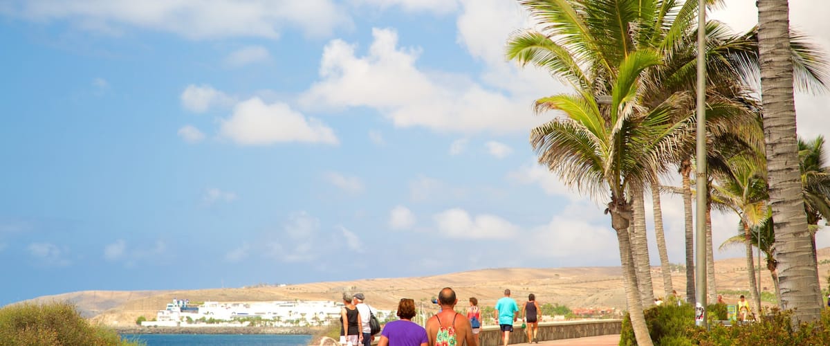 Maspalomas ofreciendo escenas tropicales y vistas generales de la costa y también una pareja