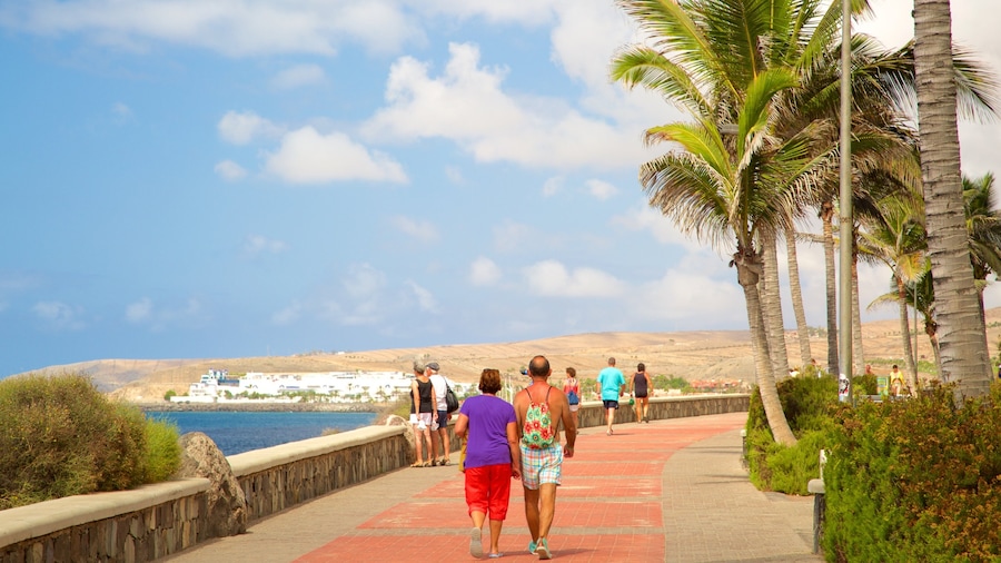 Maspalomas featuring general coastal views and tropical scenes as well as a couple