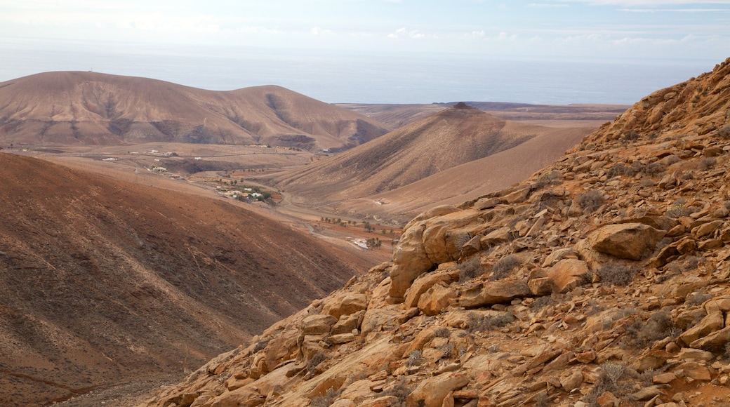 Pajara which includes mountains, tranquil scenes and desert views