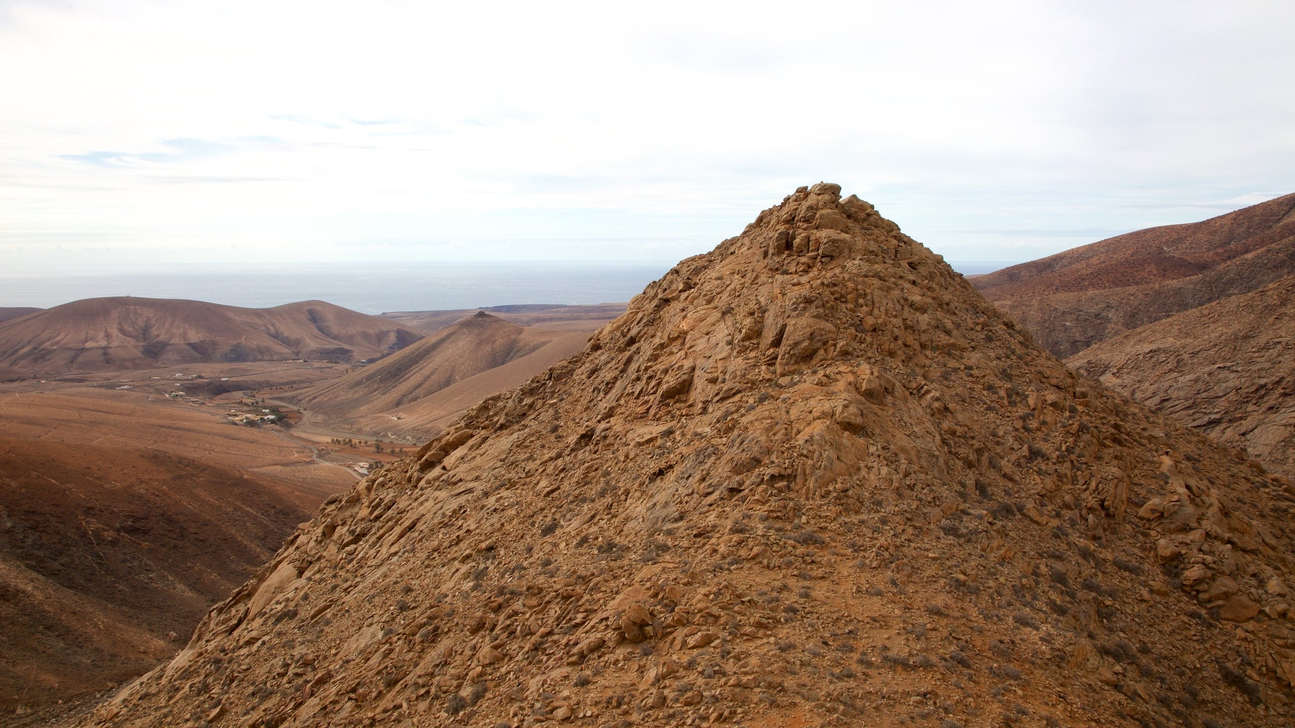 Pajara showing tranquil scenes and desert views