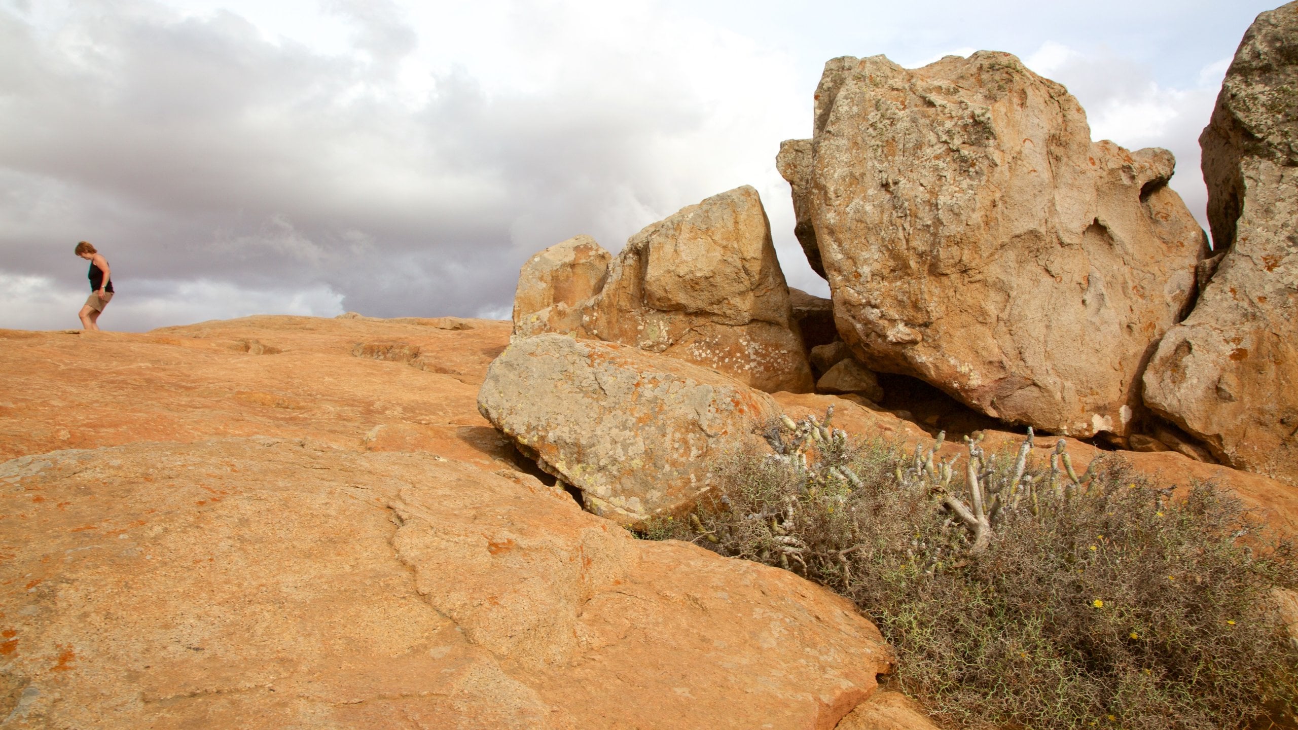 Pajara featuring desert views